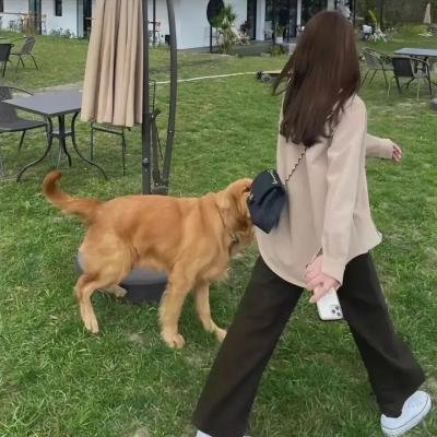 爱在当下